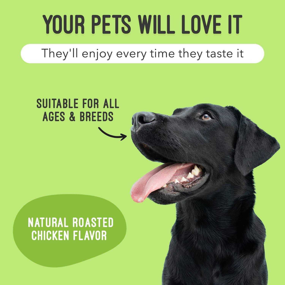 Pet Supplies D3755