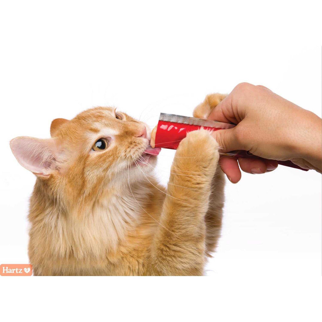 Tuna & Salmon Cat Treats A14404