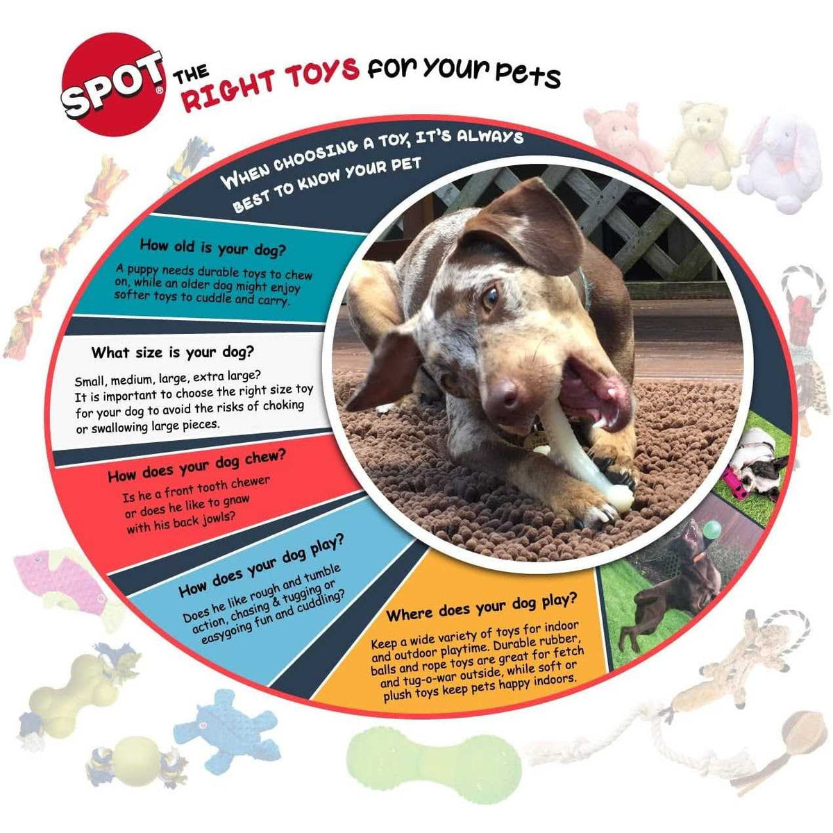 Sensory Ball Dog Toy T394986