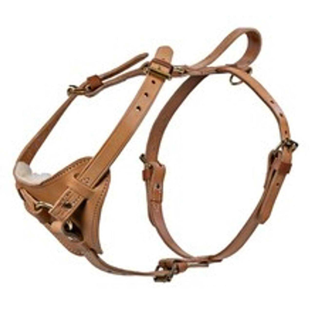 Leather Tracking Harness R982921