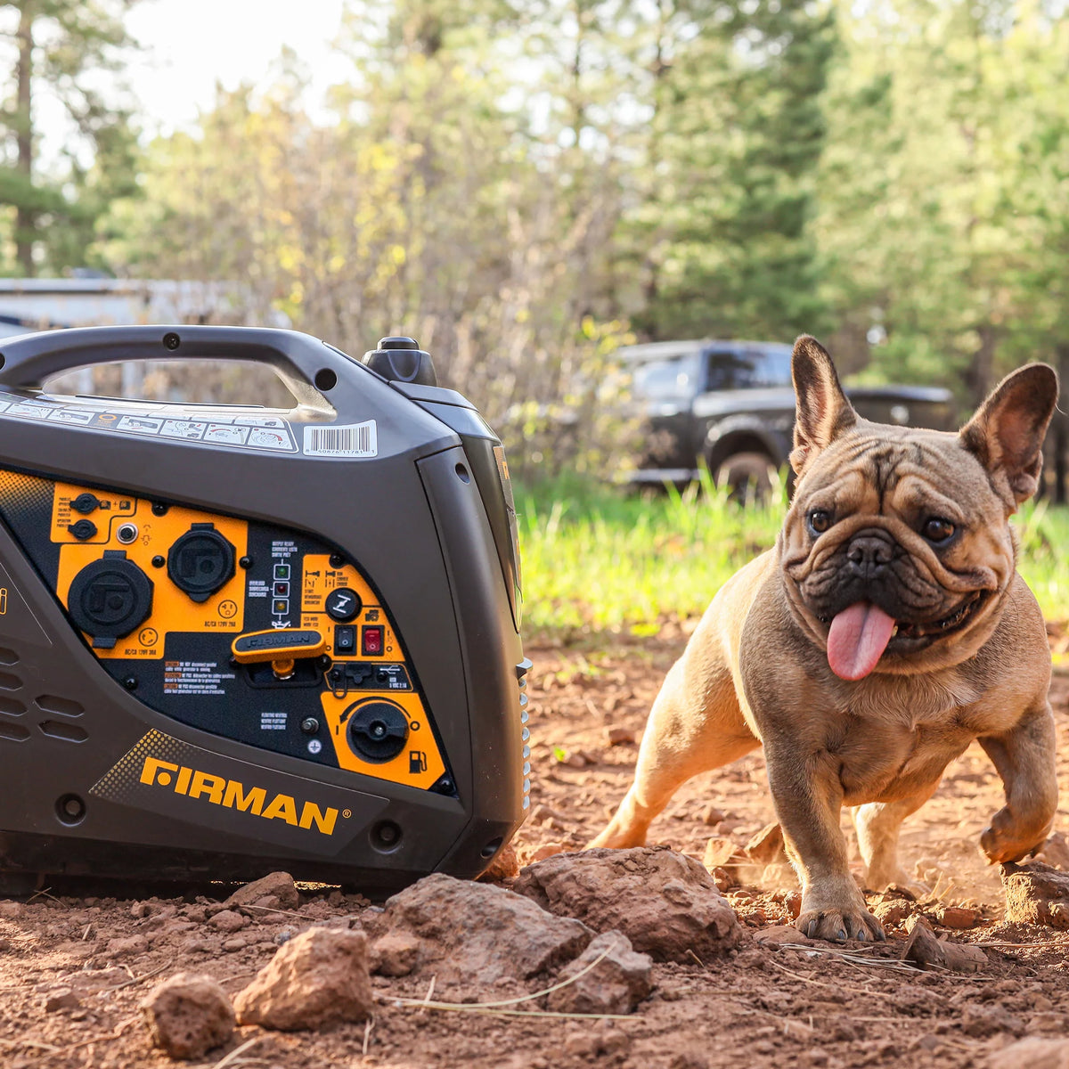 1600/2000 Watt Gasoline Powered Inverter Generator A950347