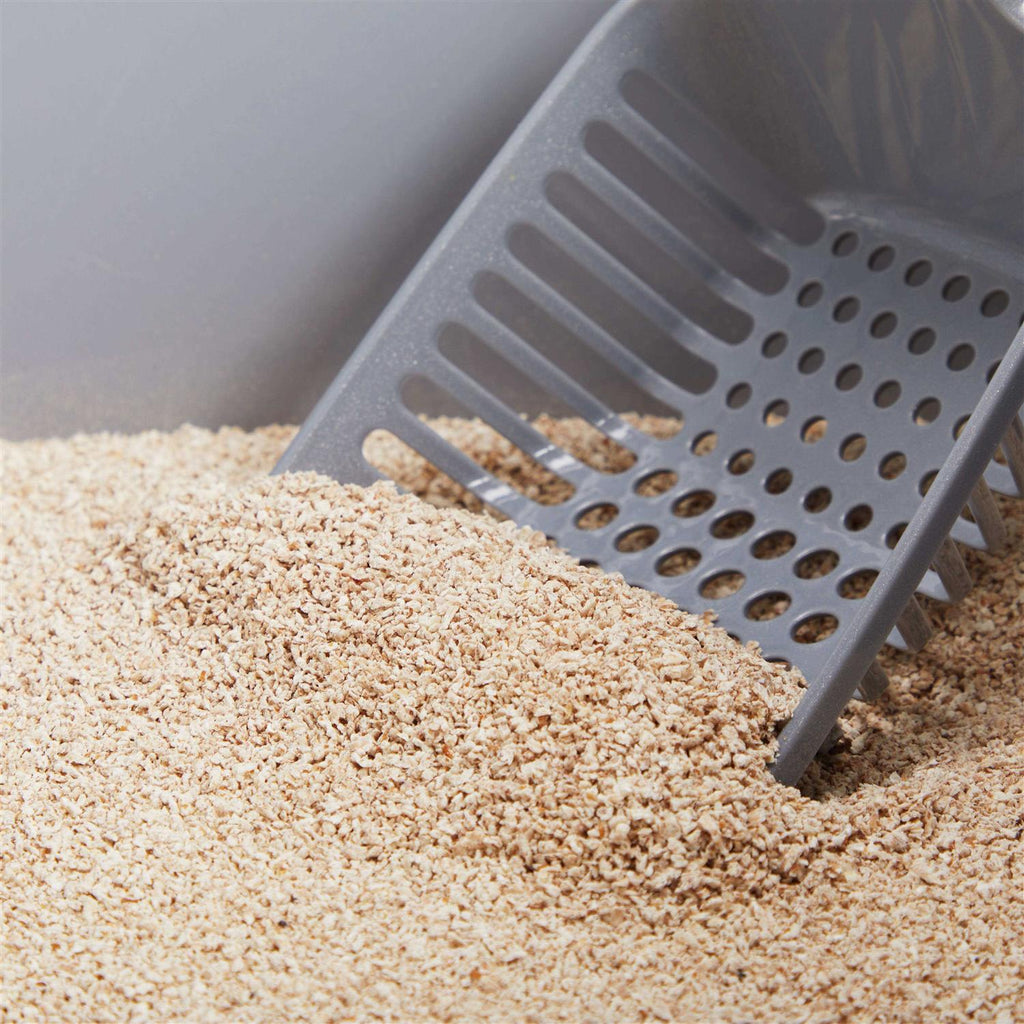 Unscented Clumping Grass Seed Cat Litter Z1857