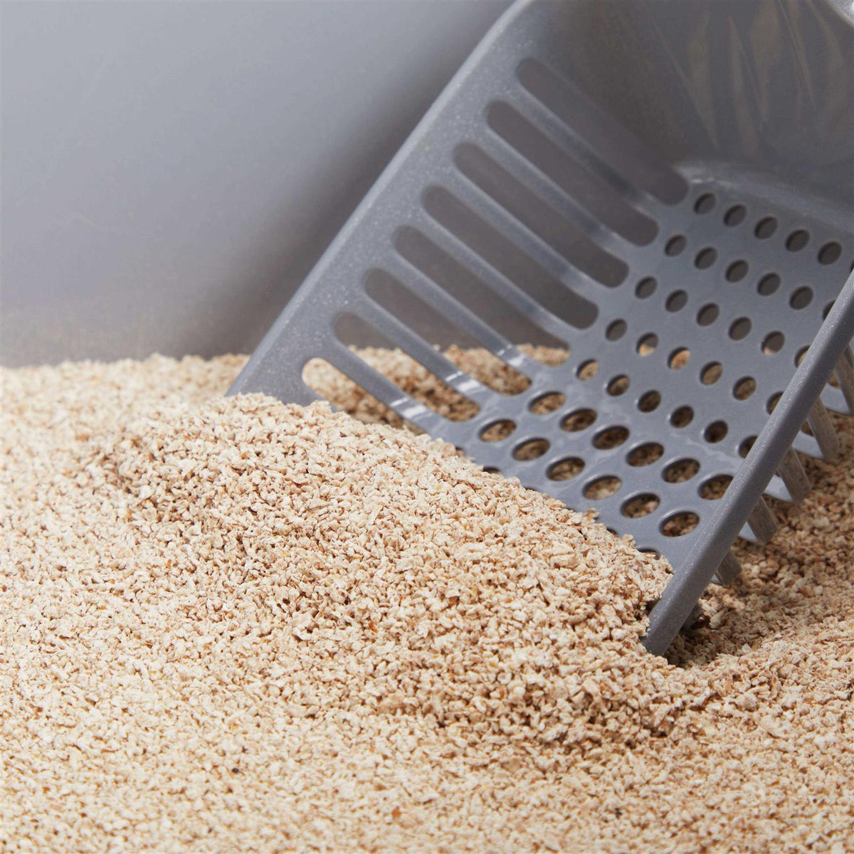 Unscented Clumping Grass Seed Cat Litter Z1857