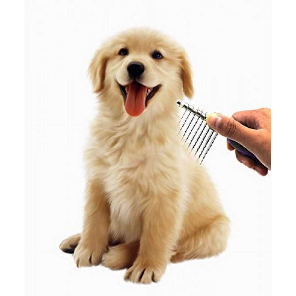 Pet Dematting Comb with Safety Edges T63579
