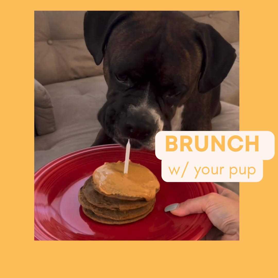Pooch Pancakes T57902