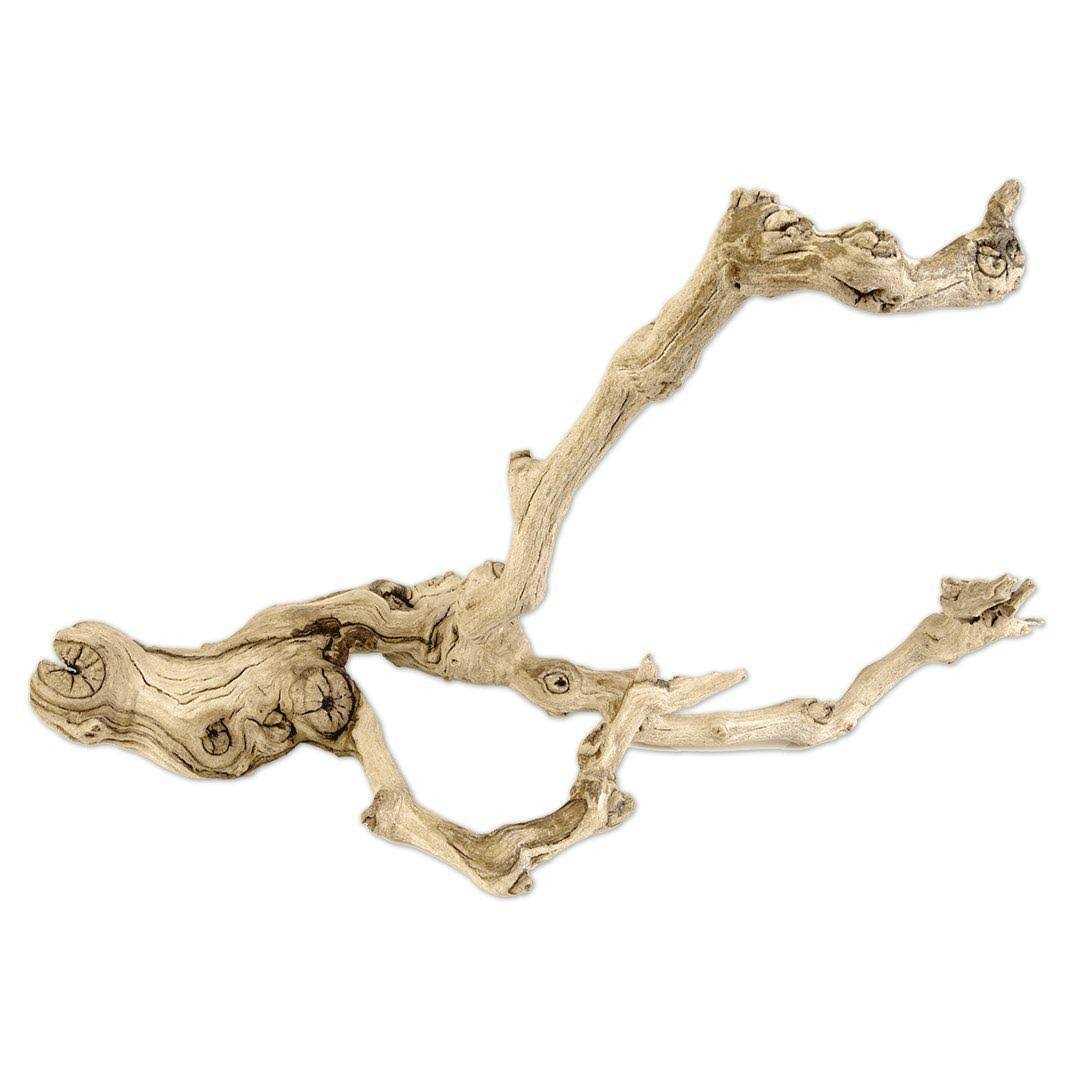 Grapewood Branch R3088