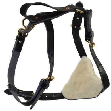 Leather Tracking Harness R982921