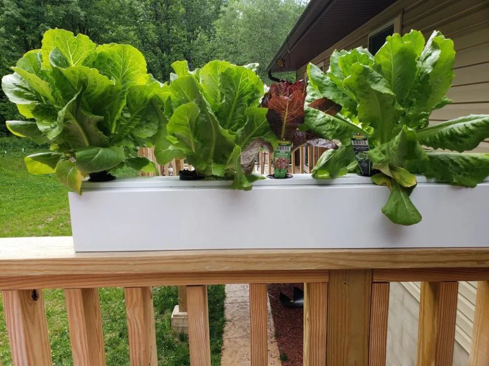 Hydroponic Nutrients 5 Gallon 5 Pack L911