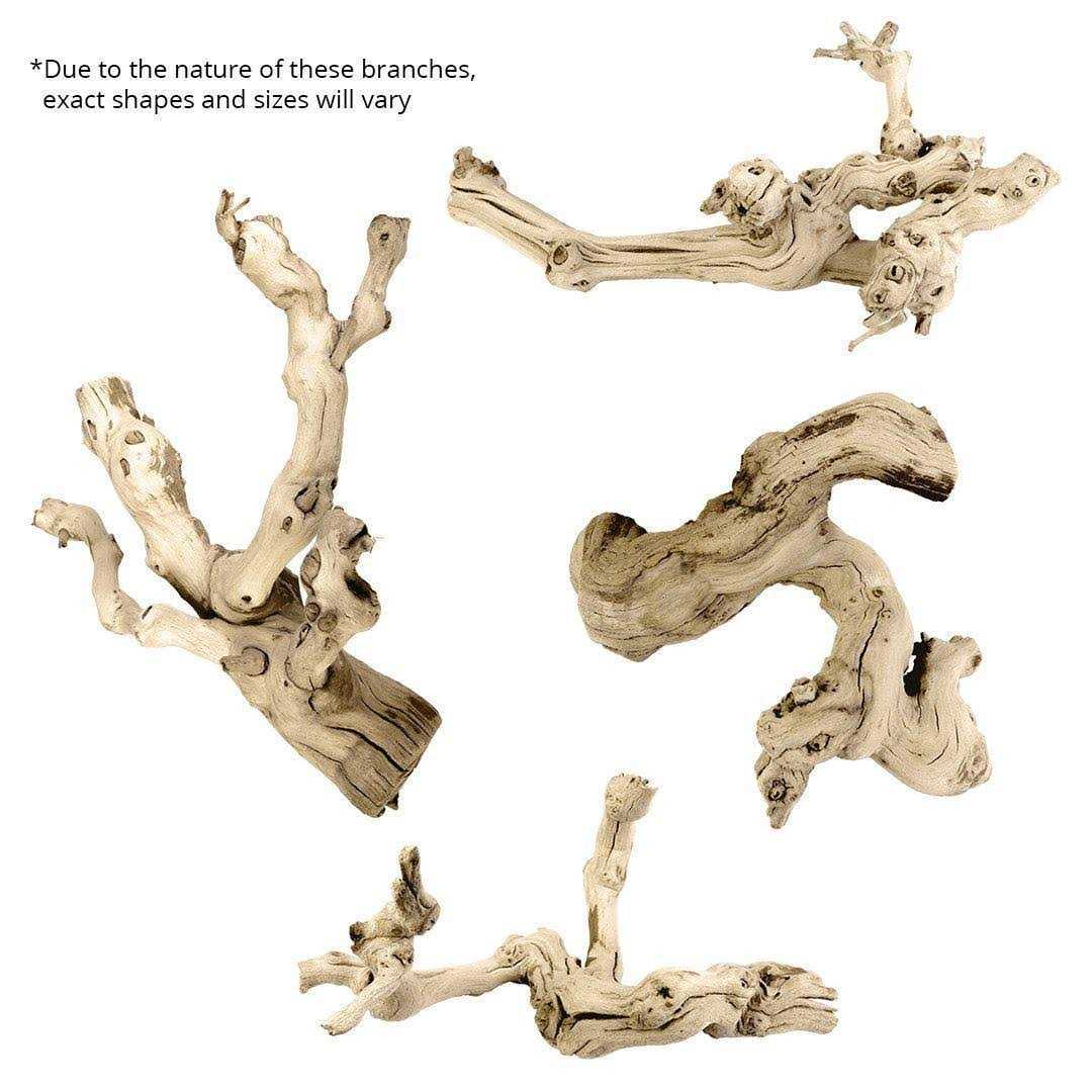 Grapewood Branch R3088