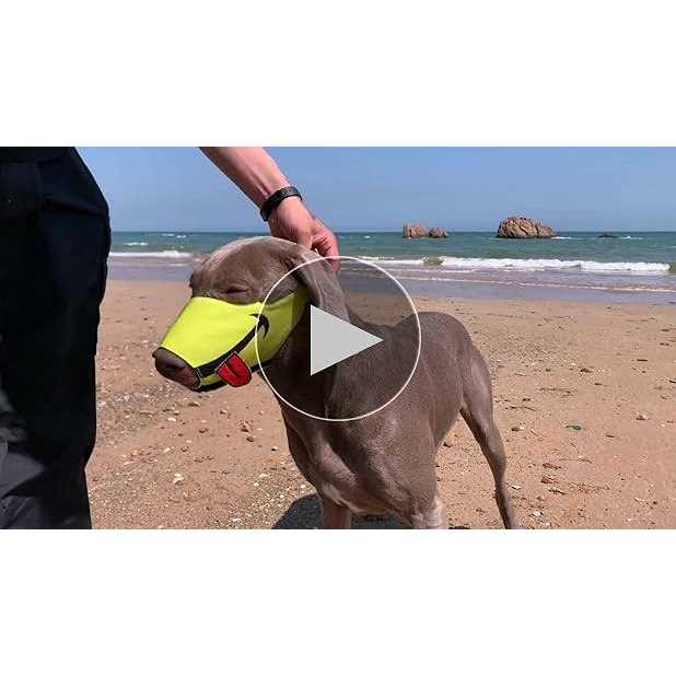 Dog Muzzle with Soft Breathable Air Mesh Nylon V495357