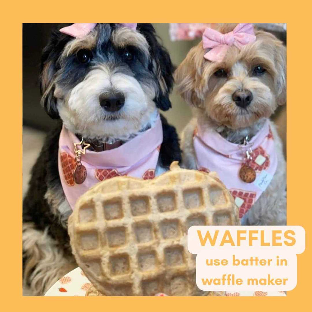 Pooch Pancakes T57902