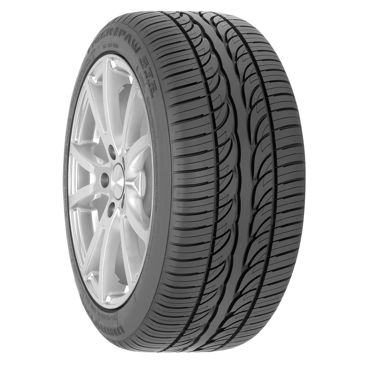 245/40ZR17 91W All Season Tire W2905
