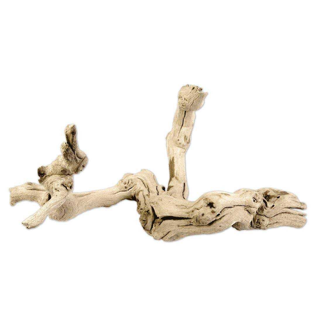 Grapewood Branch R3088