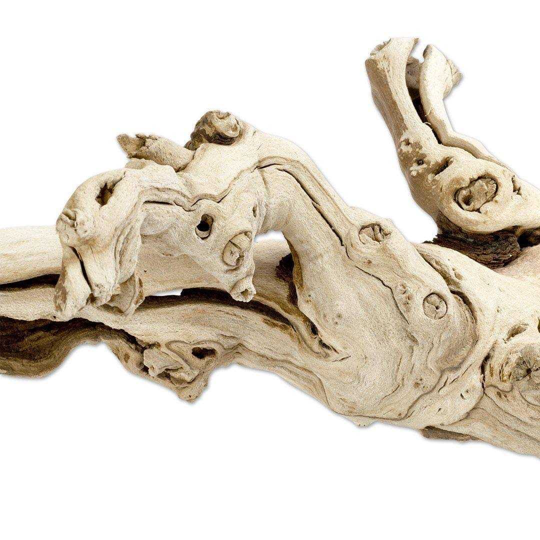 Grapewood Branch R3088